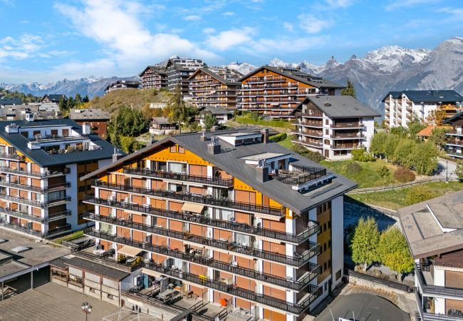 Studio a Haute-Nendaz - Les Bouleaux D1 - 2-4 pers - centre station Studio a Haute-Nendaz - Les Bouleaux D1 - 2-4 pers - centre station