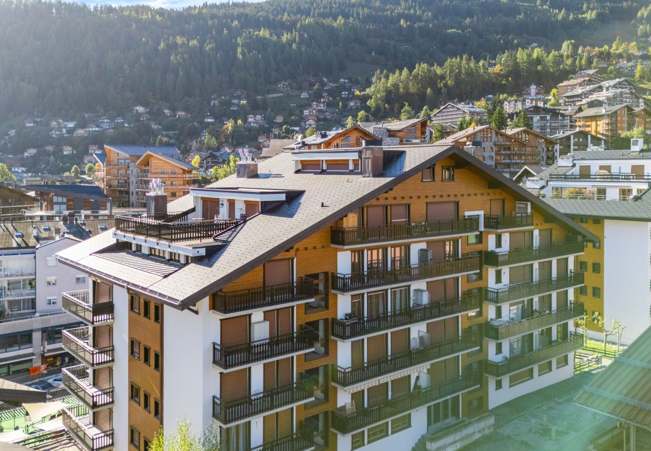 Studio a Haute-Nendaz - Les Bouleaux D1 - 2-4 pers - centre station