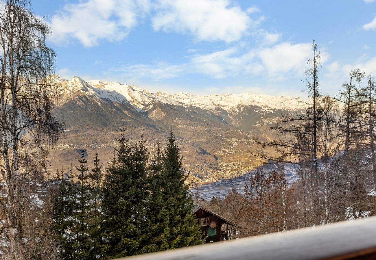 Villetta a Haute-Nendaz - Le Petiot - mini chalet - maxi douceur - 4p