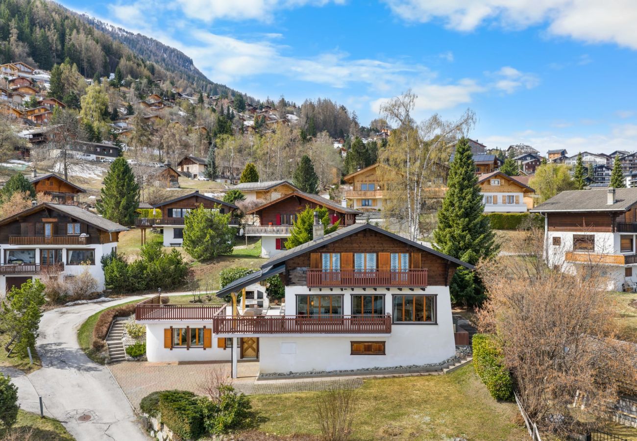 Villetta a Haute-Nendaz - Pomme de Pin - authentique et spacieux