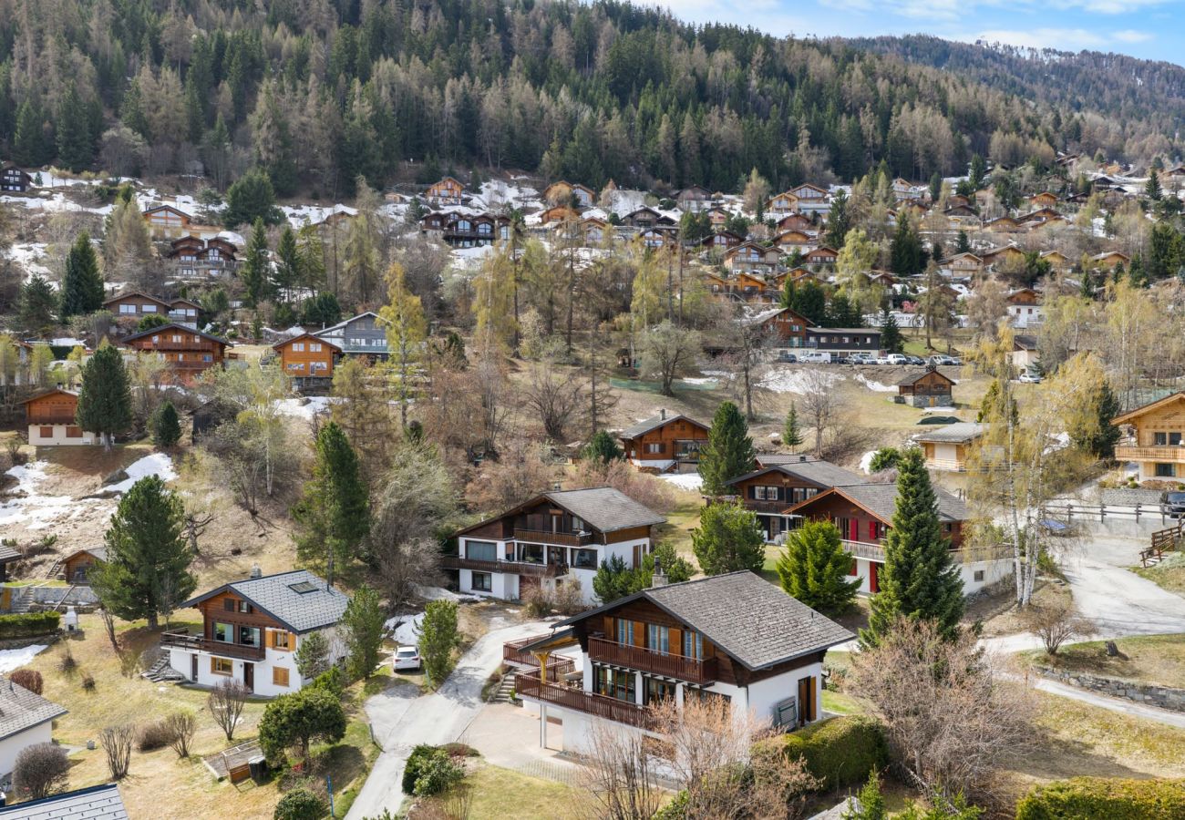 Villetta a Haute-Nendaz - Pomme de Pin - authentique et spacieux