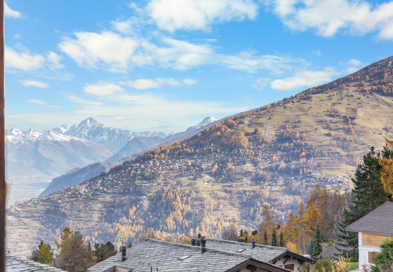 Appartamento a Haute-Nendaz - Alexandra 8 - 4 pers - près des pistes