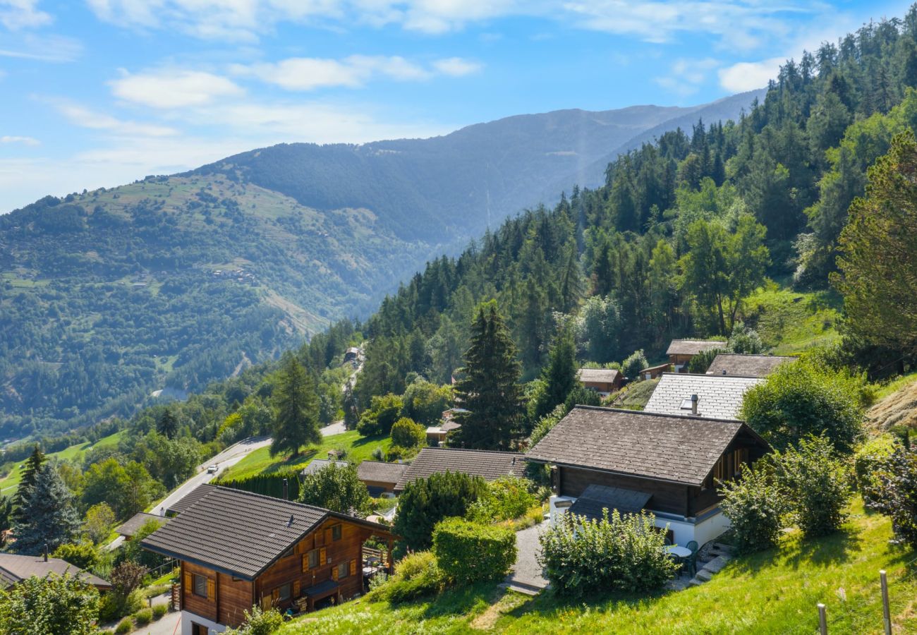 Villetta a Haute-Nendaz - Chalet Le Cagibi - 6 pers - douillet et calme