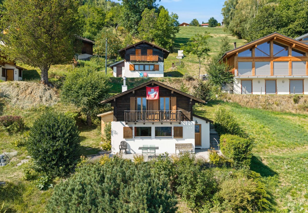Villetta a Haute-Nendaz - Chalet Le Cagibi - 6 pers - douillet et calme