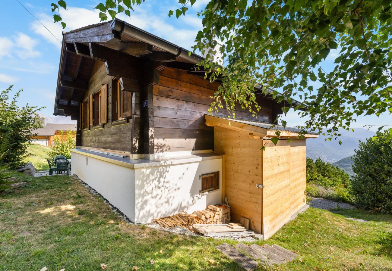 Villetta a Haute-Nendaz - Chalet Le Cagibi - 6 pers - douillet et calme