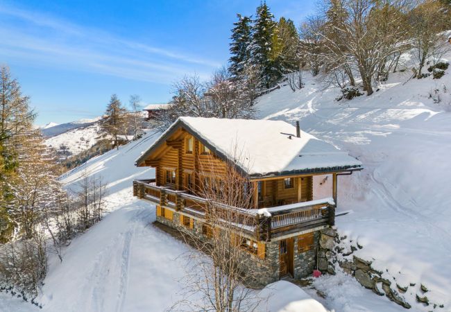 Chalet à Haute-Nendaz - AlpenRose - 8 pers - près des pistes