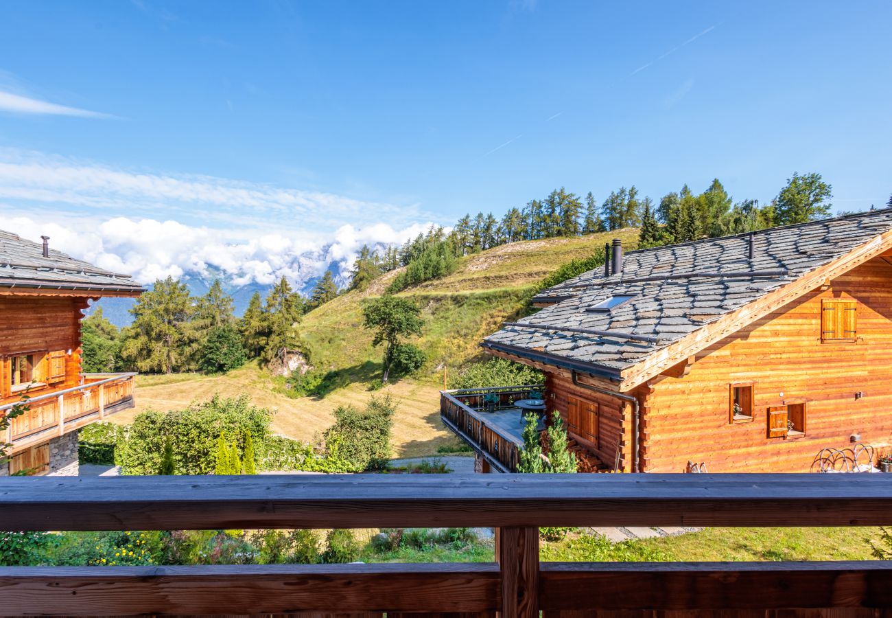 Chalet à Haute-Nendaz - Grillon - 10 pers - jacuzzi