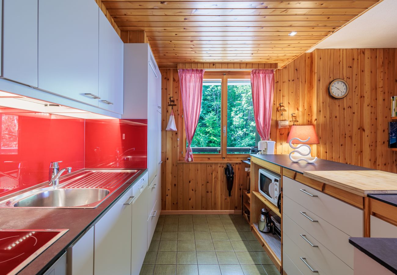 Appartement à Haute-Nendaz - Chaëdoz 45 - 7 pers - au calme