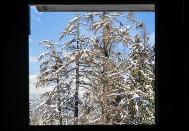 Appartement à Siviez - Dents-Rousses D2 - 4 pers - Siviez Appartement à Siviez - Dents-Rousses D2 - 4 pers - Siviez