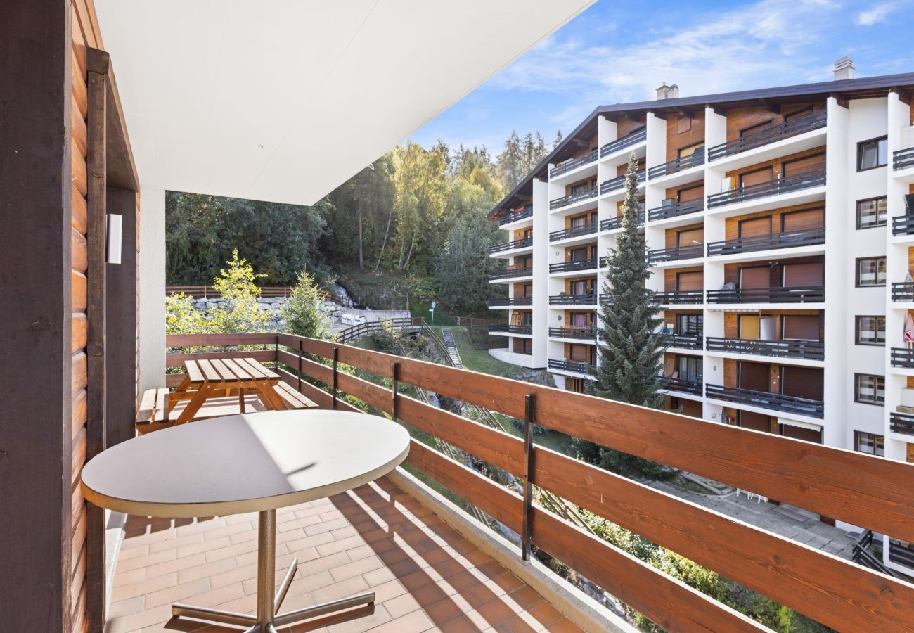 Appartement à Haute-Nendaz - Le Torrent 26 - 6 pers - au calme