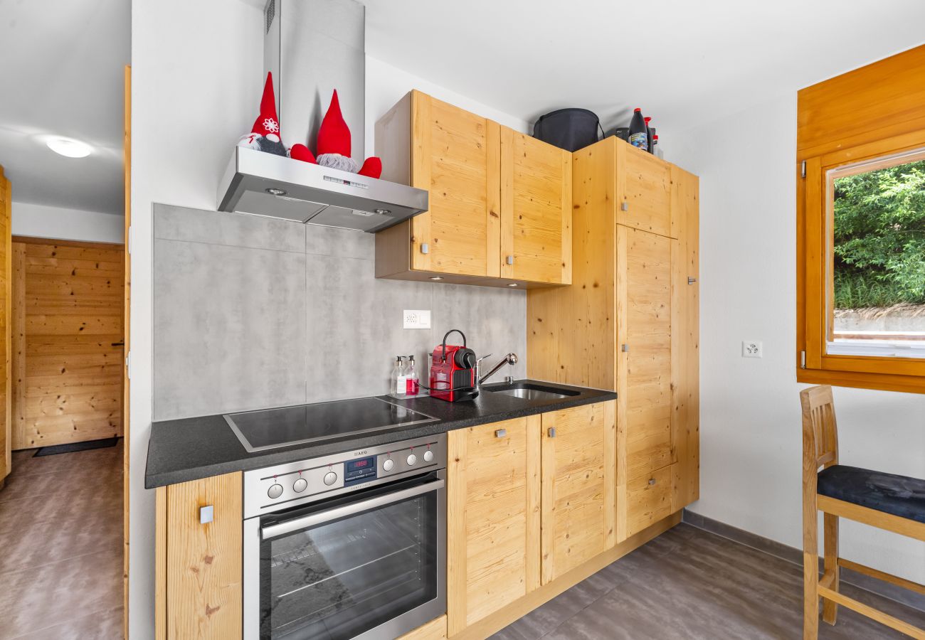 Appartement à Haute-Nendaz - Ferme de Sandra F0 - cosy avec terrasse, au centre