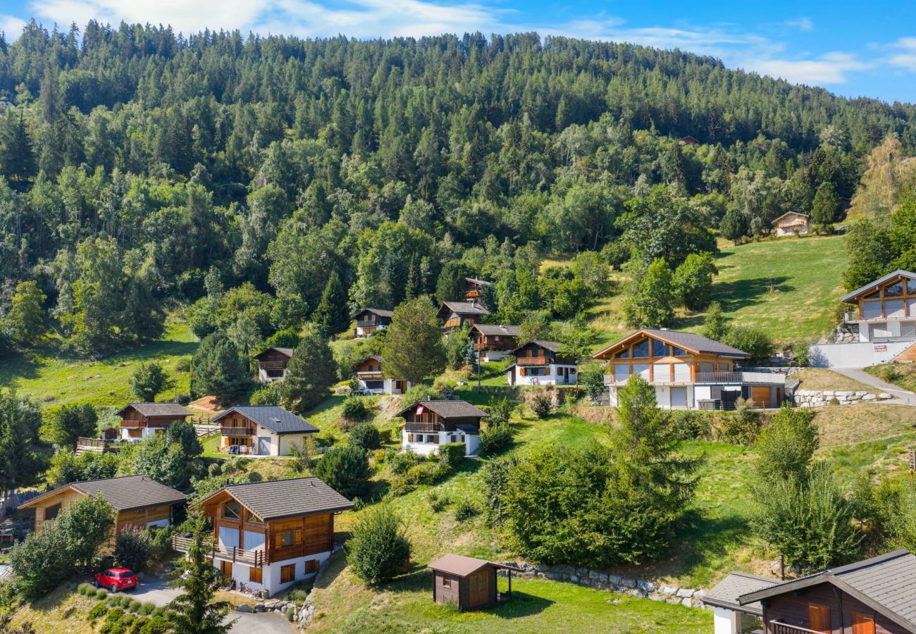 Chalet à Haute-Nendaz - Chalet Le Cagibi - 6 pers - douillet et calme