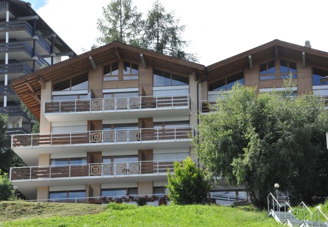 Haute-Nendaz - Appartement