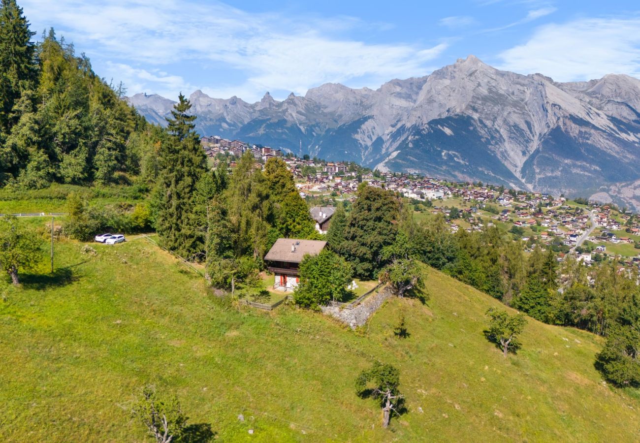 Chalet à Haute-Nendaz - Chalet Mont-Fort : chalet typique