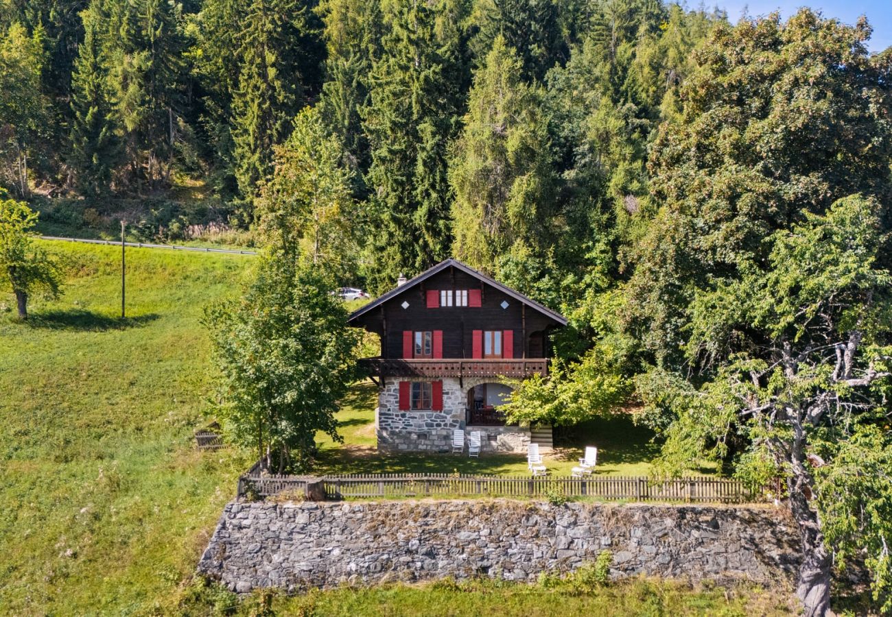 Chalet à Haute-Nendaz - Chalet Mont-Fort : chalet typique